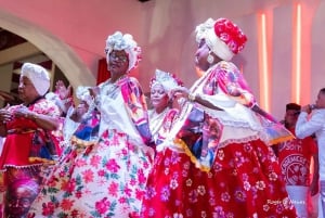 Carnival Experience at a Samba School in Rio - Salgueiro 2025/2026