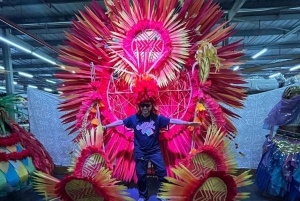 Carnival Experience: Behind the Scenes of Carnival Magic