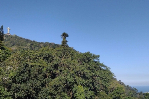 Christ the Redeemer: Adventure Mode, Climbing Through the Forest