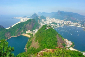 Rio de Janeiro: Christ the Redeemer Private Tour & Tickets