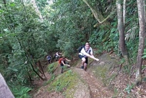 Christ the Redeemer through Lage Park 6-Hour Hiking Tour