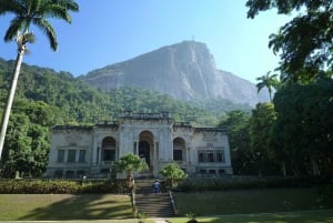 Christ the Redeemer through Lage Park 6-Hour Hiking Tour