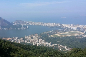 Christ & Tijuca Forest Private Tour - by Alan Denis