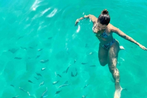 Authentic Rio in 3 Days: City Tour, Angra & Rocinha