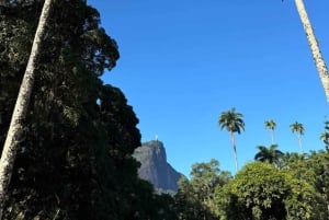 Day in Rio de Janeiro: Christ, secret beach, helicopter