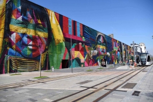 Discover AquaRio & Olympic Boulevard: Marine Life and Art