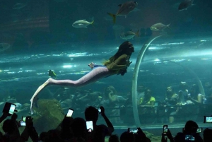 Discover AquaRio & Olympic Boulevard: Marine Life and Art