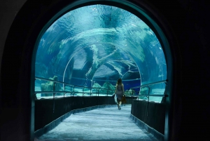 Discover AquaRio & Olympic Boulevard: Marine Life and Art