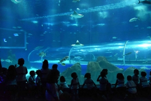 Discover AquaRio & Olympic Boulevard: Marine Life and Art