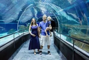 Discover AquaRio & Olympic Boulevard: Marine Life and Art