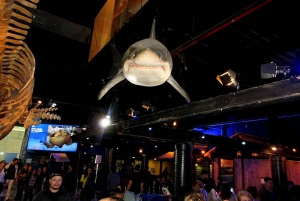 Discover AquaRio & Olympic Boulevard: Marine Life and Art