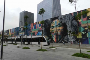 Discover AquaRio & Olympic Boulevard: Marine Life and Art