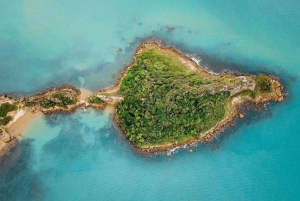 Discover Búzios Beaches and Boat Tours - Leaving from Búzios