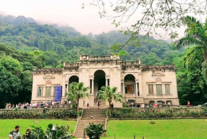 Discover the Botanical Garden and Lage Park: Carioca Nature