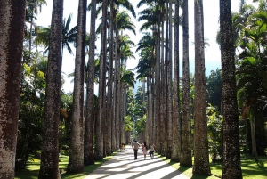 Discover the Botanical Garden and Lage Park: Carioca Nature