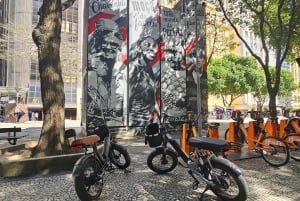 Private E-Bike Guided Tour in Rio'Historic Center to Ipanema