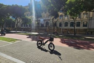 Private E-Bike Guided Tour in Rio'Historic Center to Ipanema