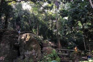 Christ the Redeemer: Excursion to the Corcovado Mountain with entrance to the Christ