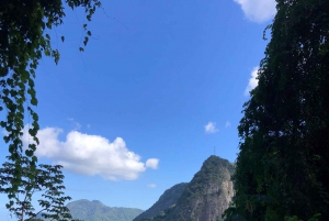 Christ the Redeemer: Excursion to the Corcovado Mountain with entrance to the Christ