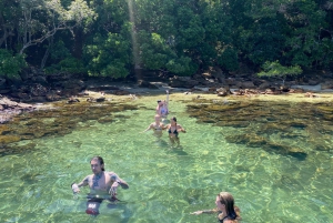 Experience Paradise Ilha Grande in a Speedboat Private