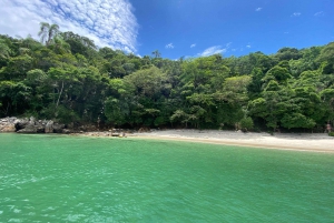 Experience Paradise Ilha Grande in a Speedboat Private