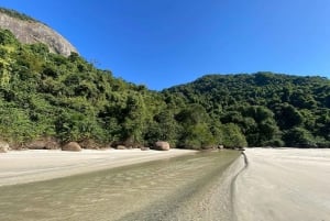 Experience Paradise Ilha Grande in a Speedboat Private