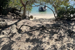 Experience Paradise Ilha Grande in a Speedboat Private