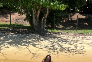 Experience Paradise Ilha Grande in a Speedboat Private