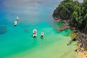 Explore Fernando de Noronha: 7-Hour Ilhatour