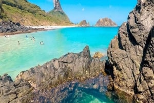 Explore Fernando de Noronha: 7-Hour Ilhatour