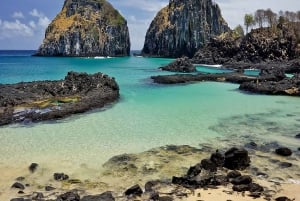 Explore Fernando de Noronha: 7-Hour Ilhatour
