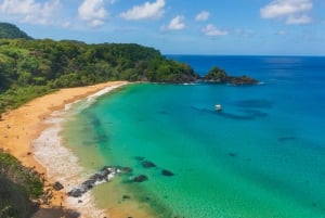 Explore Fernando de Noronha: 7-Hour Ilhatour