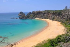 Explore Fernando de Noronha: 7-Hour Ilhatour