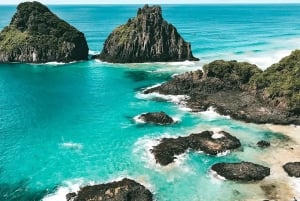 Explore Fernando de Noronha: 7-Hour Ilhatour