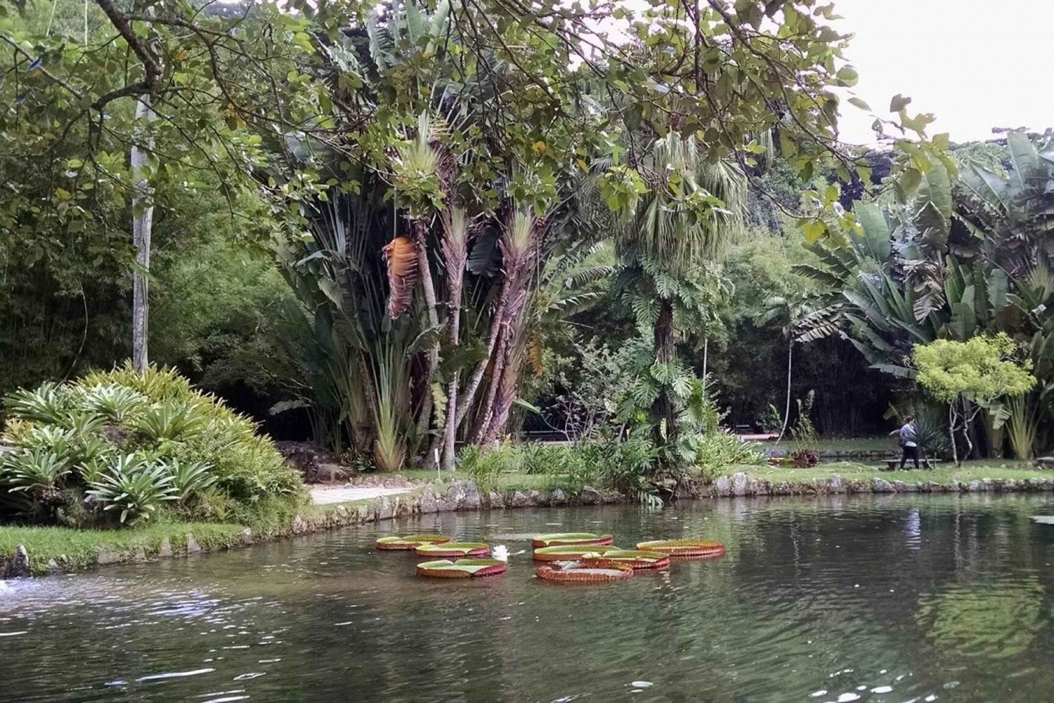 Explore Flora: Jardim Botânico & Tijuca Forest Adventure