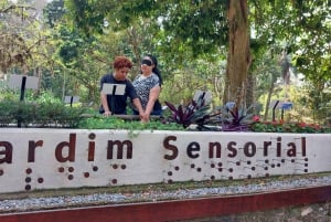 Explore Flora: Jardim Botânico & Tijuca Forest Adventure