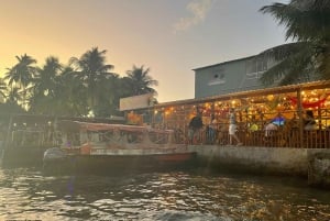 Explore Ilha da Gigoia : an island adventure