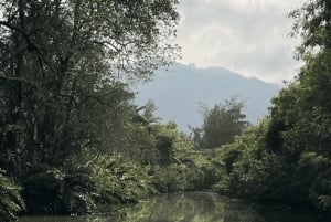 Explore Ilha da Gigoia : an island adventure