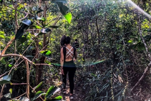 Explore Vidigal & Hike Morro Dois Irmãos: Views of Rio