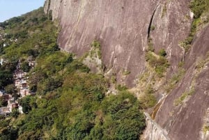 Explore Vidigal & Hike Morro Dois Irmãos: Views of Rio