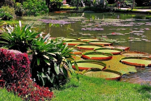 Exploring the Botanical Garden and Lage Park: Natural Riches