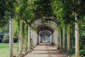 Exploring the Botanical Garden and Lage Park: Natural Riches