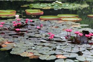 Exploring the Botanical Garden and Lage Park: Natural Riches