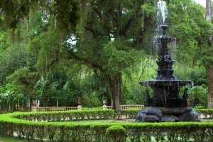Exploring the Botanical Garden and Lage Park: Natural Riches