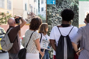 Favela Santa Marta: Walking Tour with local guide