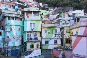 Favela Santa Marta: Walking Tour with local guide