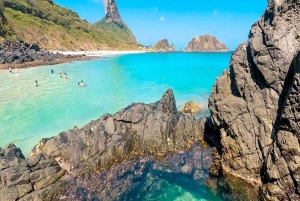 Fernando de Noronha: 7-Hour Island Adventure