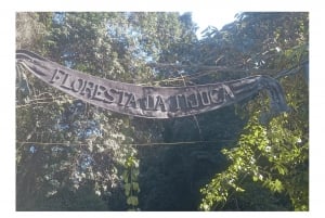 Floresta da Tijuca