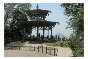 Floresta da Tijuca