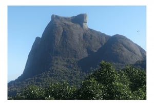 Floresta da Tijuca